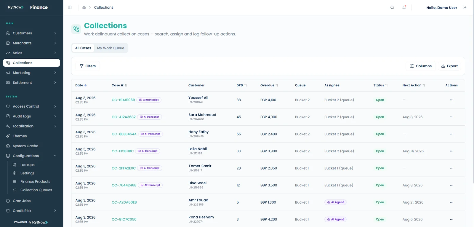 Delinquency queues with AI agent assignment and next action